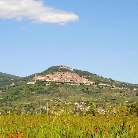 Awesome In With Wifi Cortona